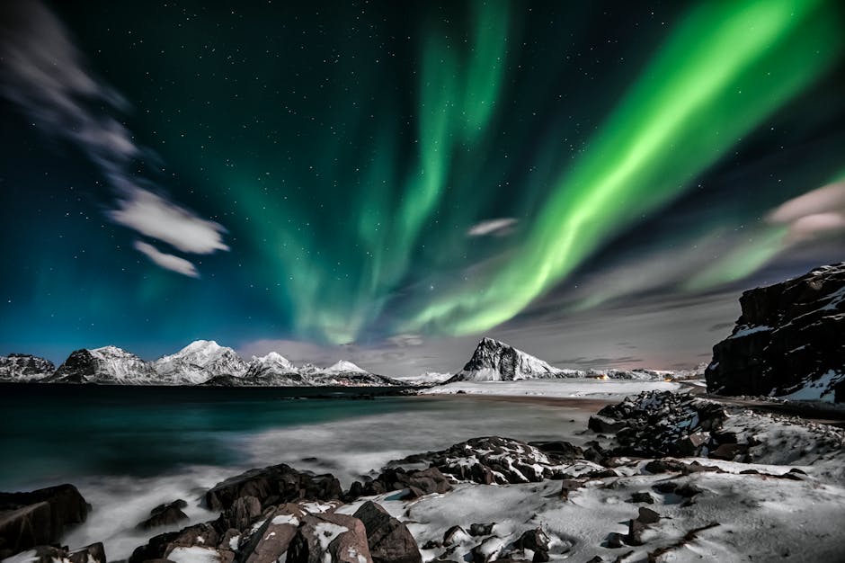 Scenic view of Northern Lights over snowy Lofoten mountains and reflective water at night.